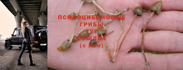 дмт Алексин