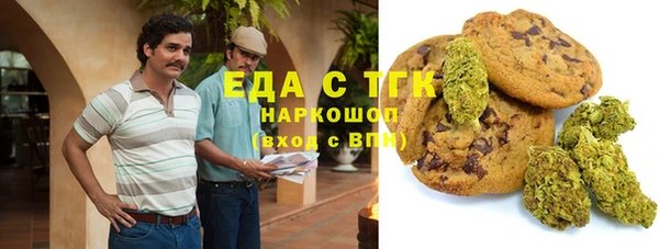 дмт Алексин